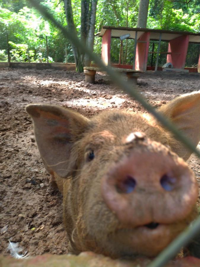 Fazenda Recanto Sarandy